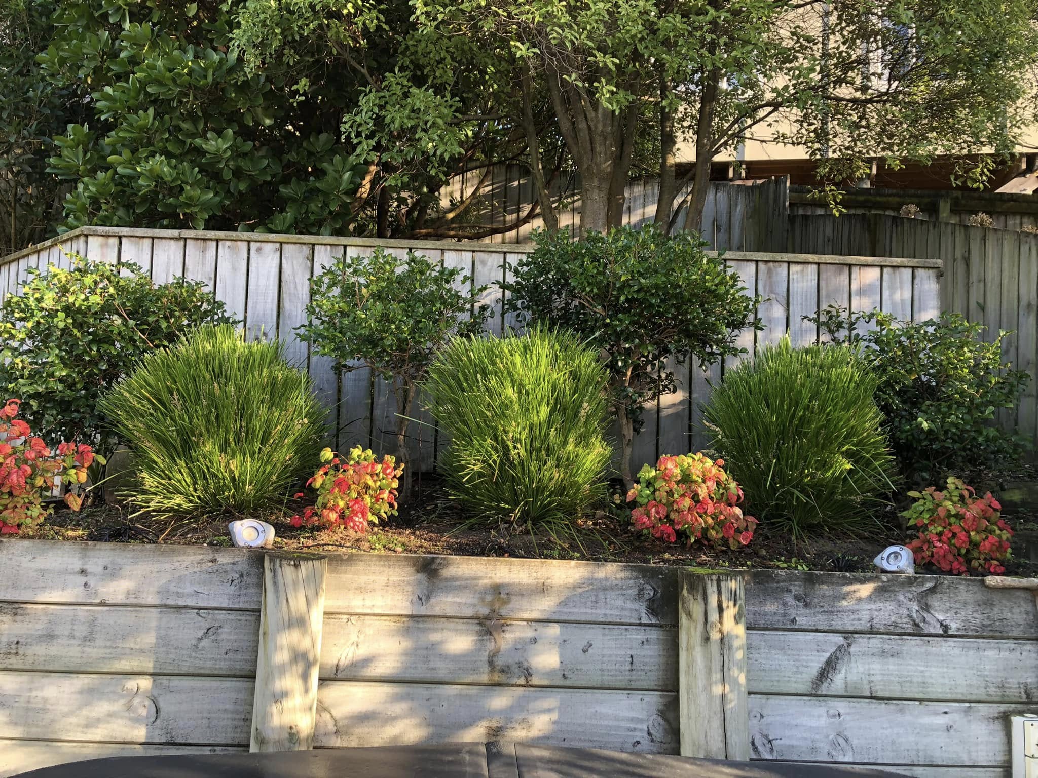 Lawn care 2